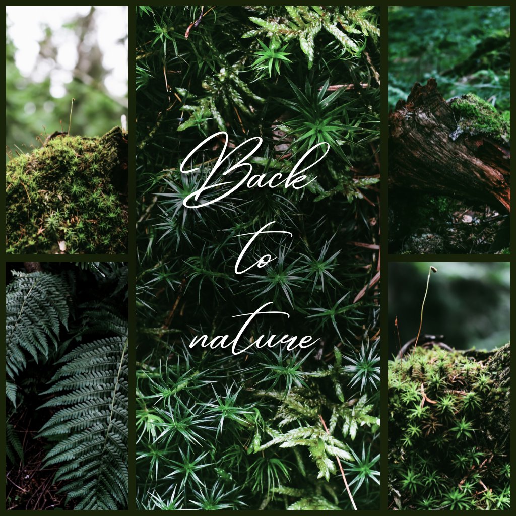 Nature & Pets & Animals